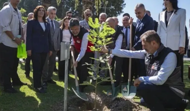 Saksının faturası kesildi