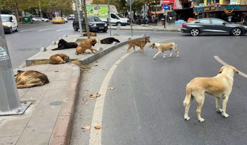Afyon’da yasaklandı!