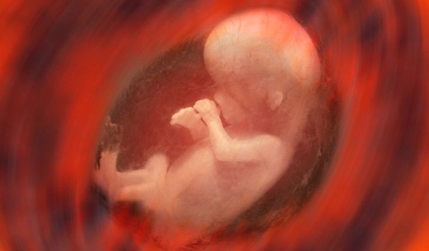 Döllenecek yumurta 3 ay önceden seçiliyor