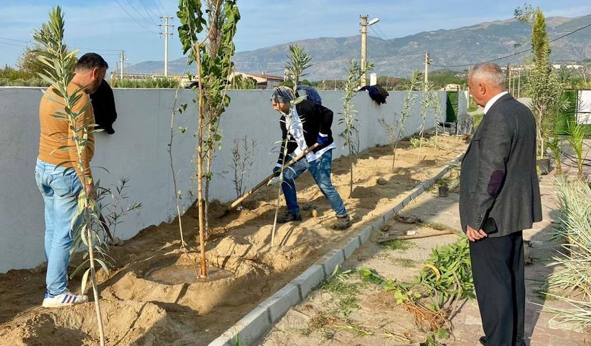 Sultanhisar'da can dostları için yeşil dokunuş