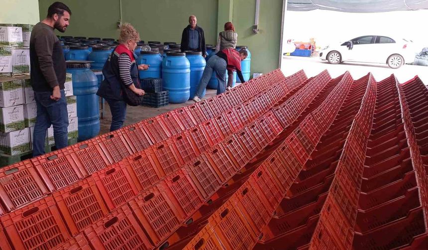 Didim'de organik zeytin ve zeytinyağı üretim alanları denetlendi