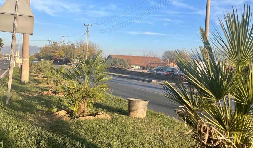 Yeşil Sultanhisar için ağaçlandırma çalışmaları sürüyor