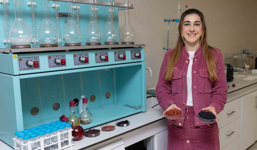 Kırmızı-mor meyvelerden fonksiyonel gıda ürünü