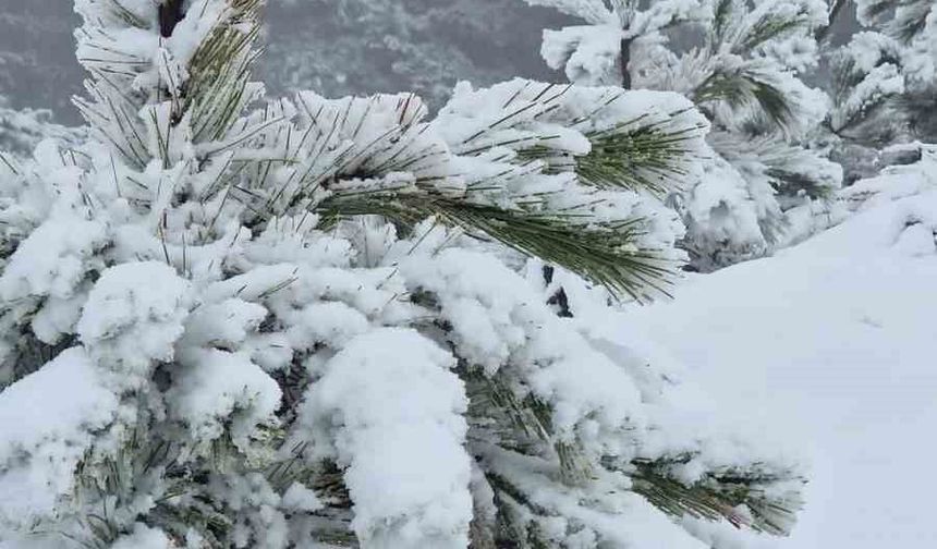 Muğla'ya mevsimin ilk karı yağdı