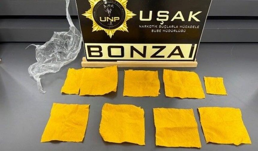 Çok sayıda uyuşturucu madde ele geçirildi