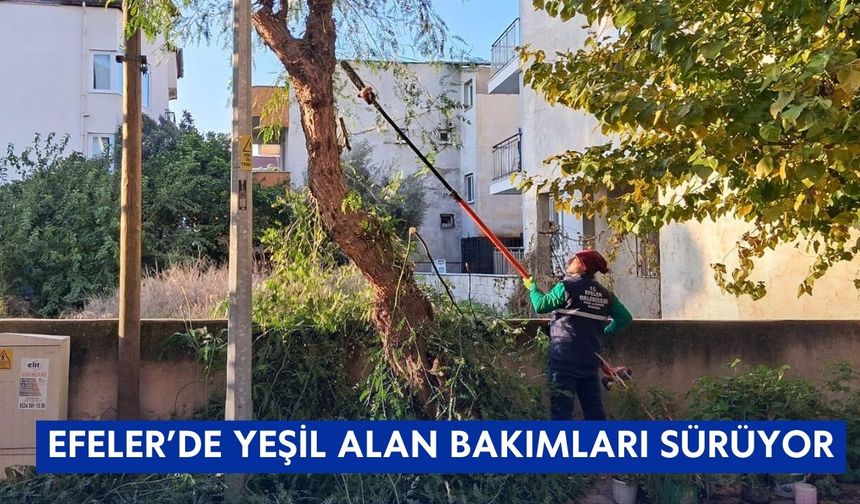 Efeler'in yeşil alanlarında budama ve bakım çalışmaları devam ediyor