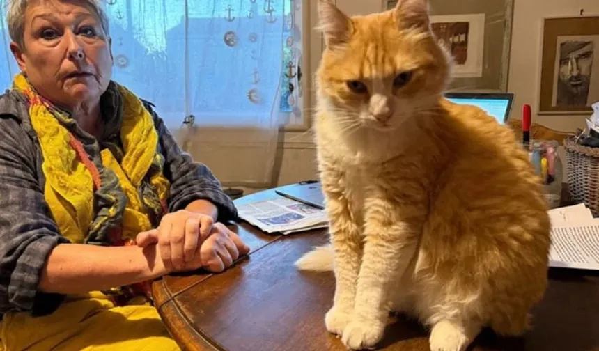 Dünyanın ilk mahpus kedisi