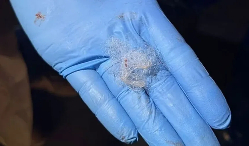 Ufacık yün parçası 57 milyon TL'lik ticareti durdurdu