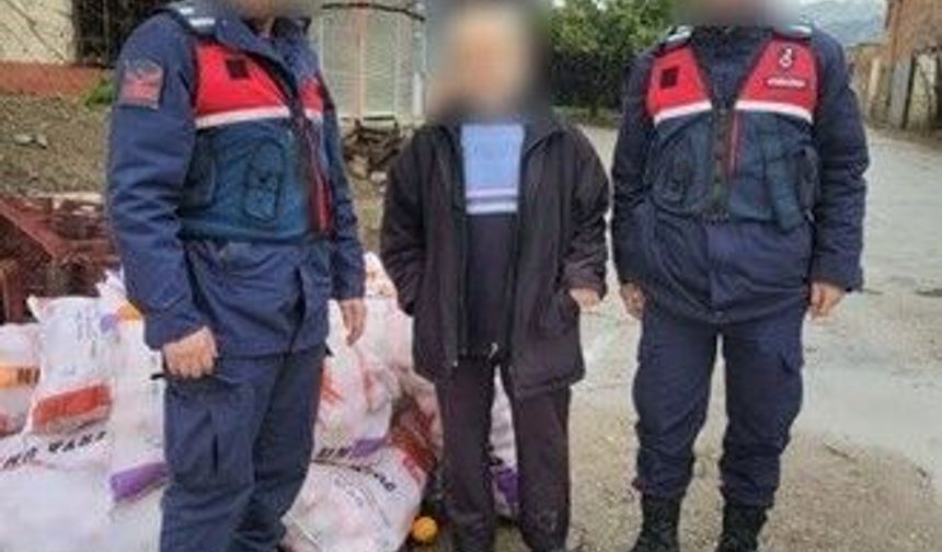 Nazilli’de 1 Ton Portakal Hırsızlığı