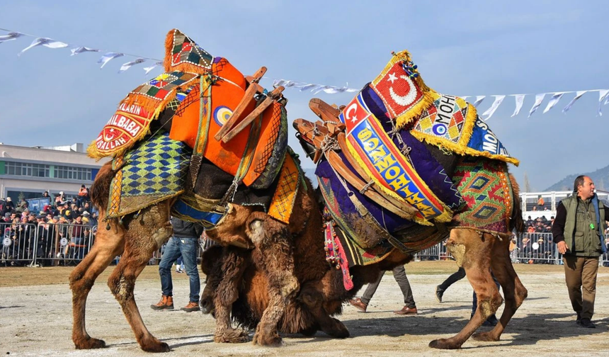 Başkan Zencirci'den Deve Heykeli Müjdesi