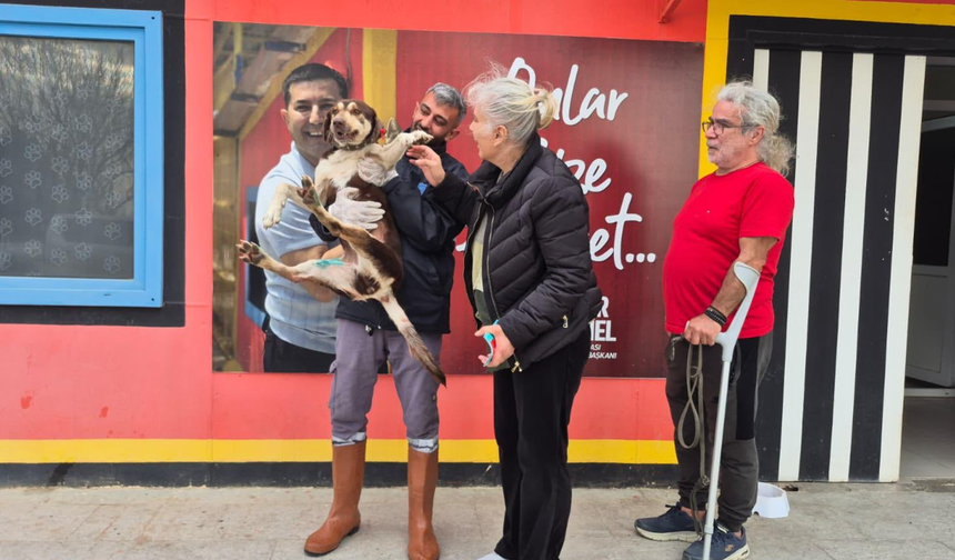 Lady artık sıcak yuvaya sahip