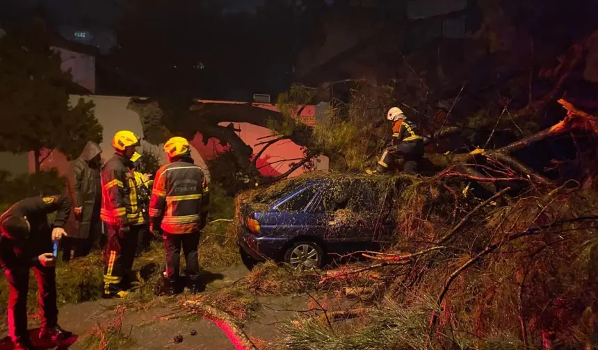 Otomobille Seyir Halinde Faciadan Döndüler!