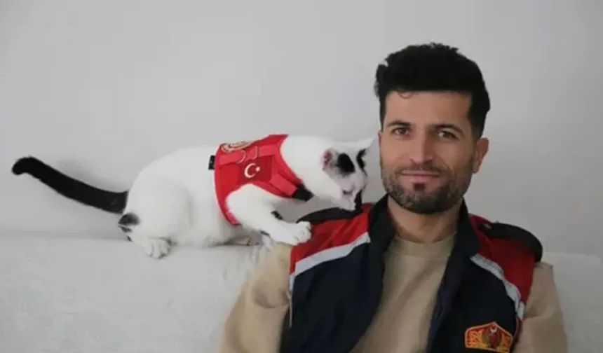 Enkaz Kedi Hâlâ Yanında