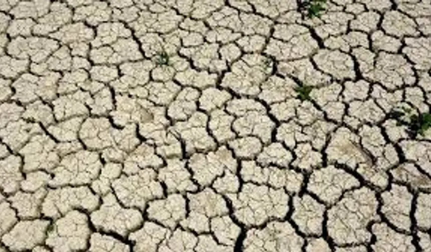 Aydın’da Kuraklık Tehlikesi