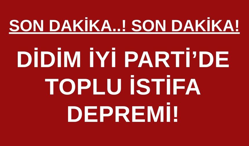Didim İYİ Parti'de toplu istifa!