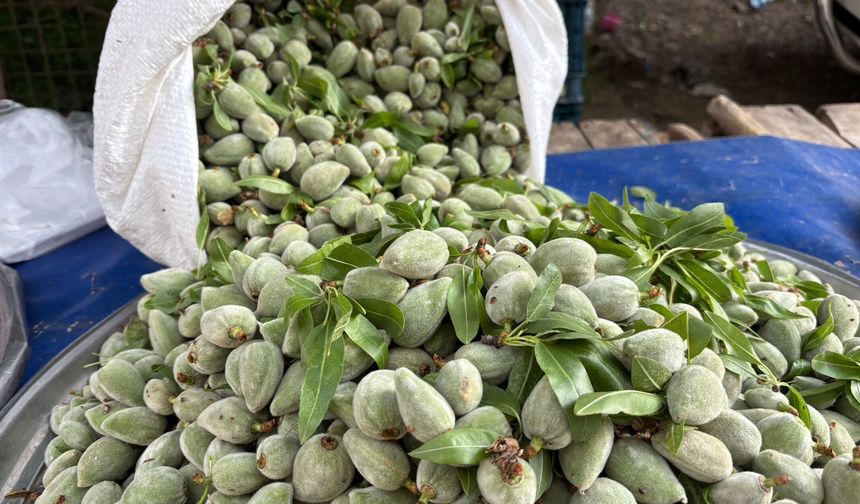 Tezgahları Meyveler süsledi, sepetler Boş Kaldı