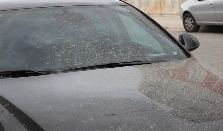 Meteorolojiden Ege İçin Toz Alarmı