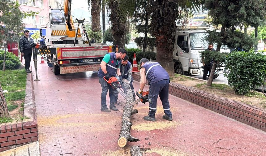 Uğur Mumcu Parkı’nda Güvenli Dokunuş