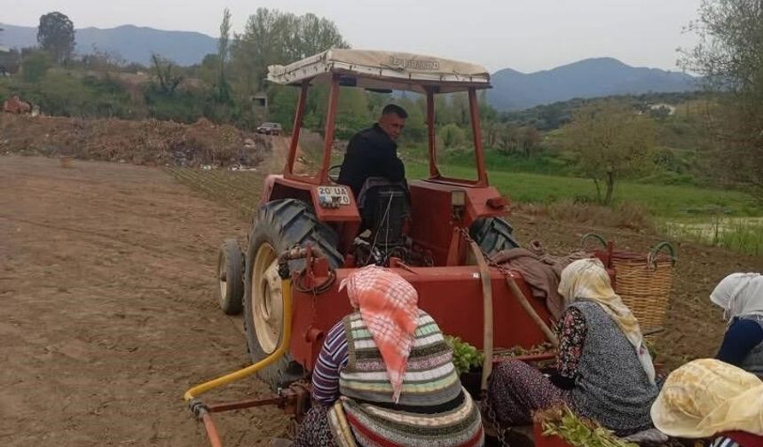 Tütün Üreticisi Avansa Kilitlendi