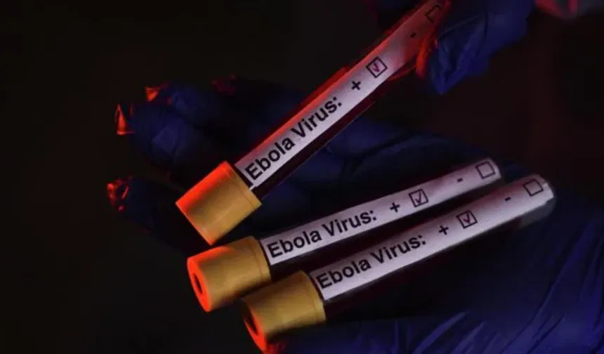 Ebola Salgını Hastaneleri Felç Etti