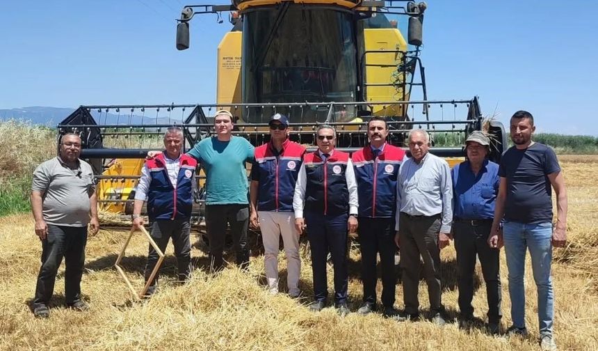 Buğday Hasadı Heyecanı Başladı