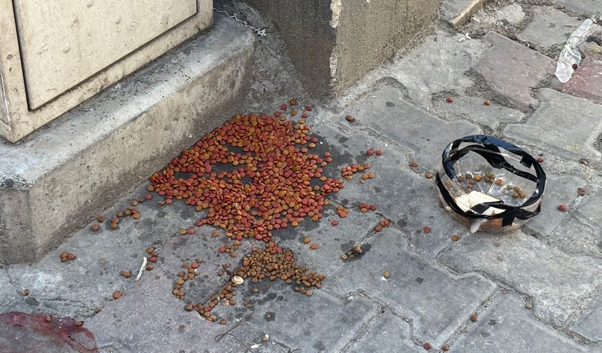 Bu Yapılan İyilik Değil, Kötülük