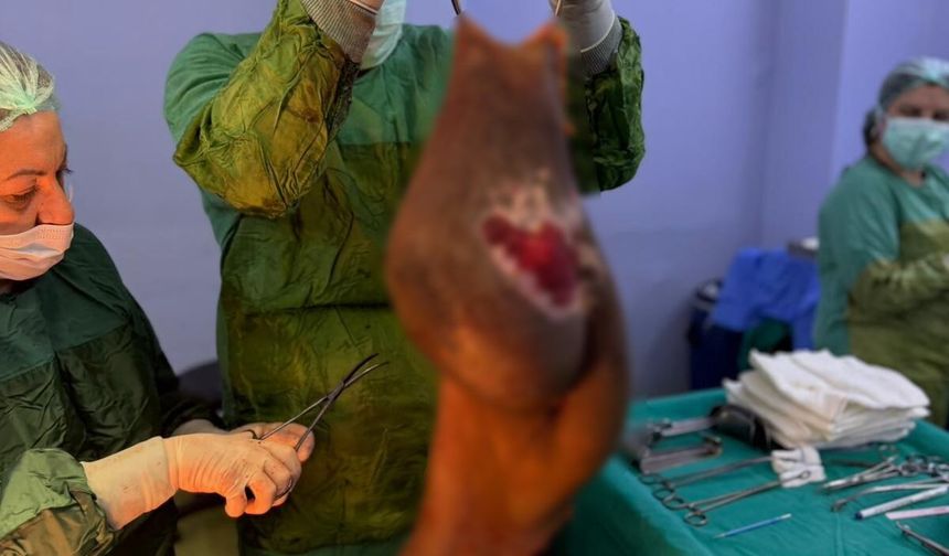 Karnından 40 Kilogram Kitle Çıkarıldı