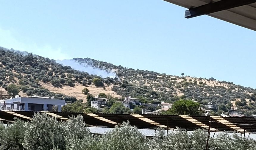 Bozdoğan'da zirai alan yangını