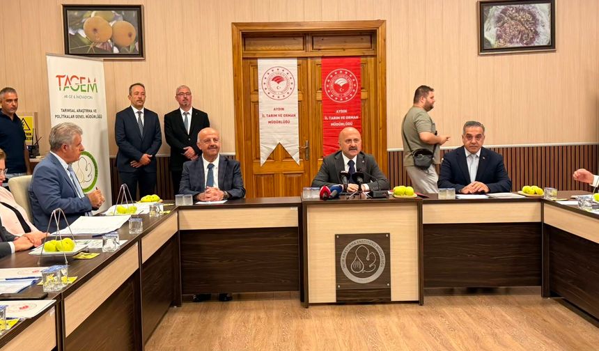 Vali Varol'dan incir sektörüne yönelik kritik değerlendirme