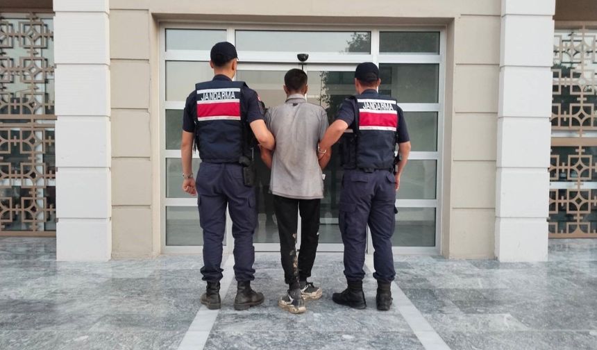 İncir hırsızlığına suçüstü yapıldı