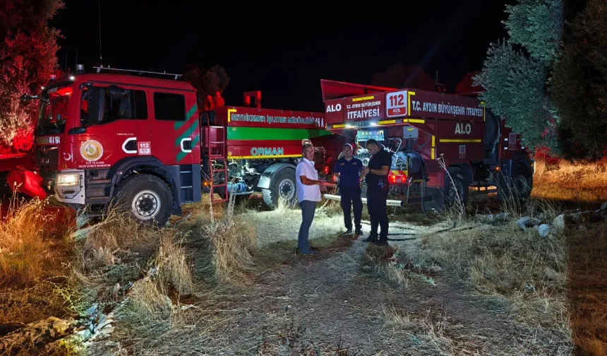 Sultanhisar’da gece yarısı yangın